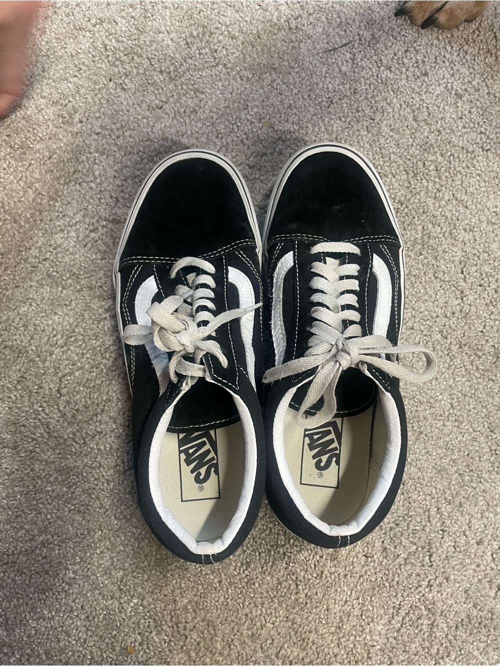 Vans Black and White Low-Top Skate Shoes